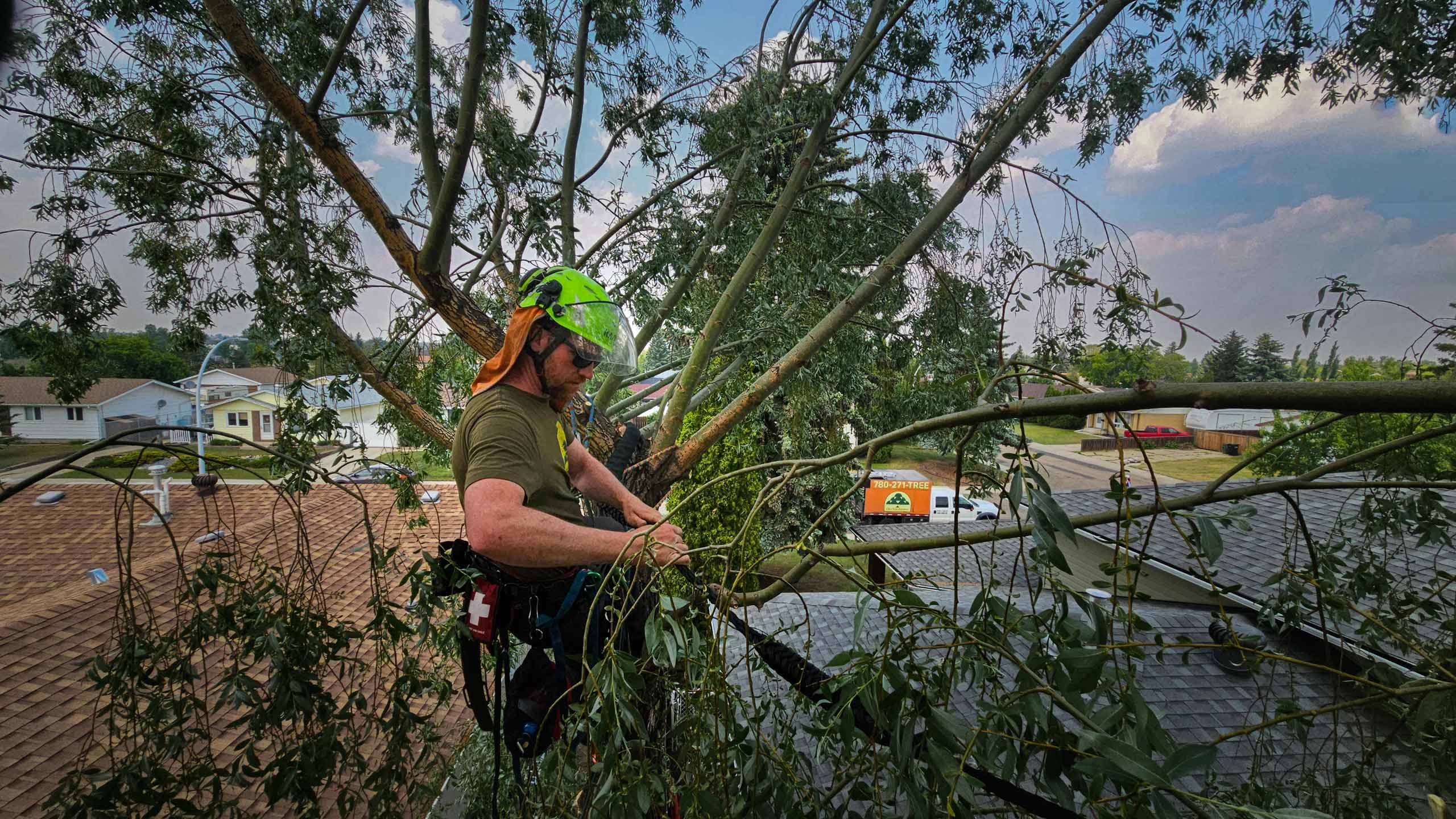 Jordan, Co-Founder & Arborist