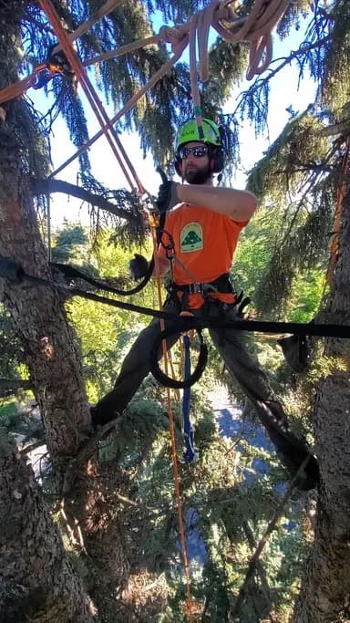Andy, Co-Founder & Arborist